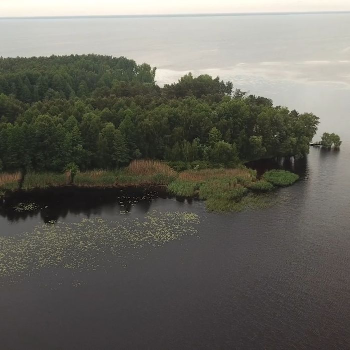 Ділянка 1.7 ГА з виходом в Київське море, Толокунь, ліс, фарватер