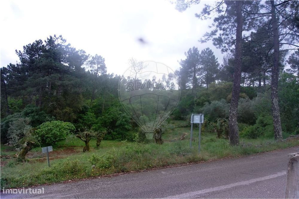 Terreno em Estradinha, Santiago da Guarda
