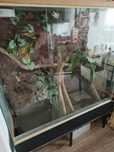 Sprzedam terrarium