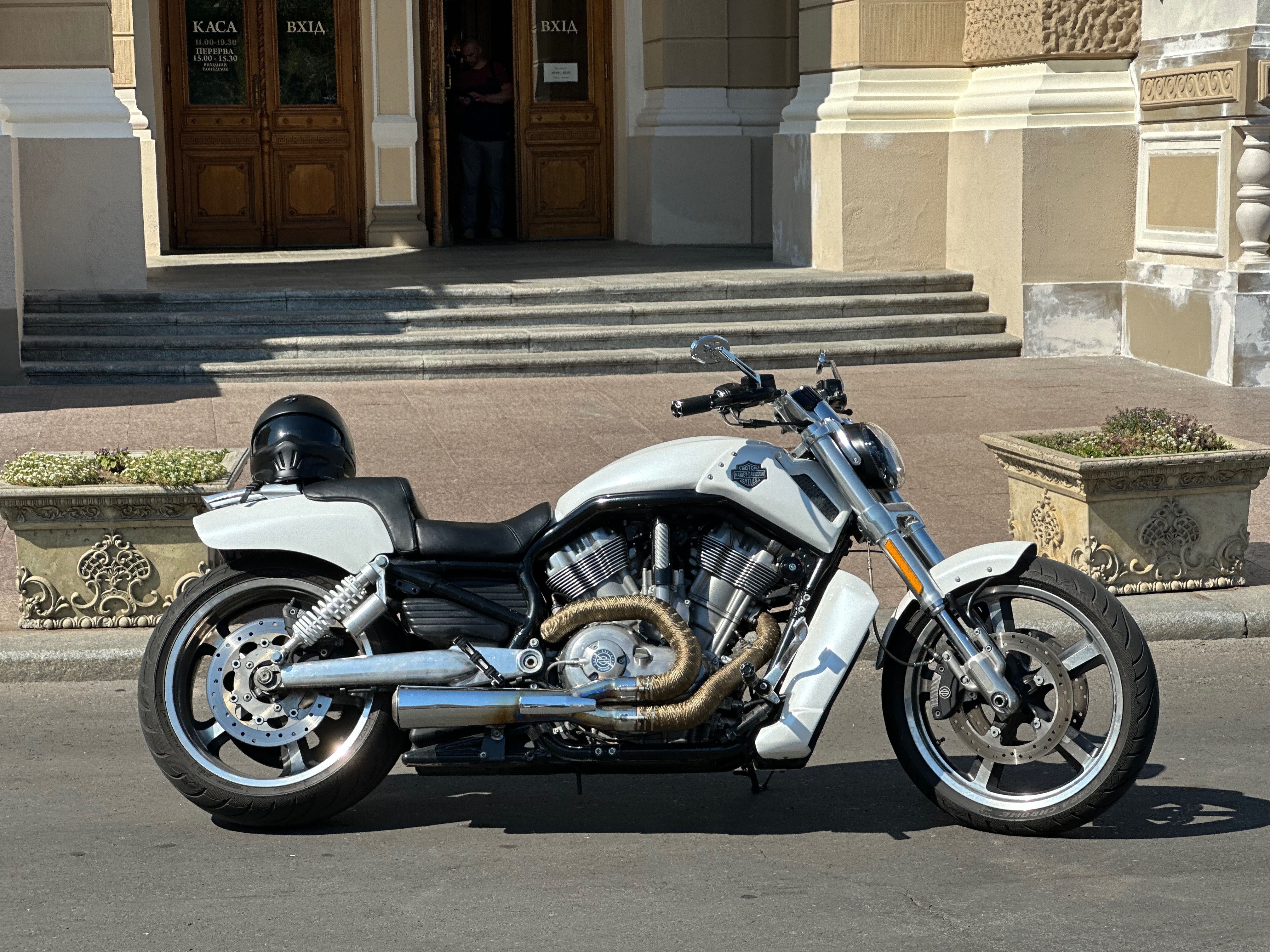 Harley Davidson Vrod Muscle