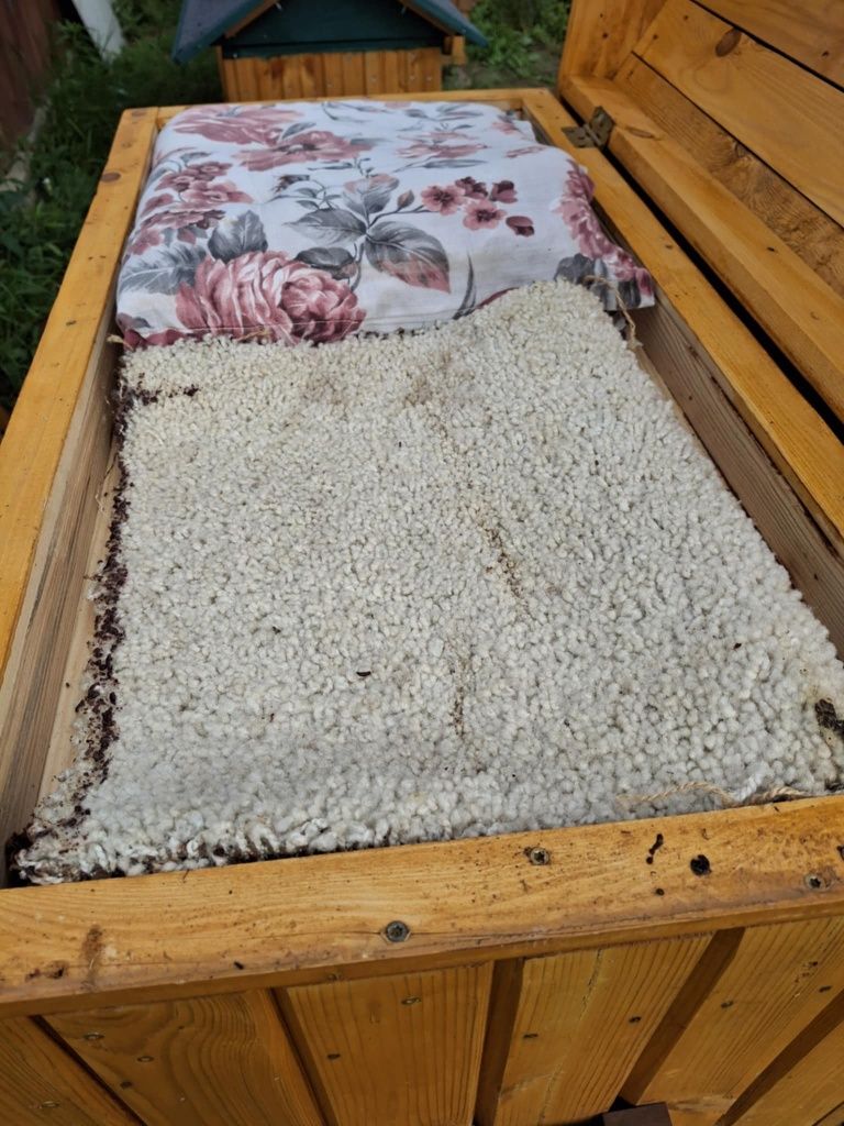 Ul warszawki poszerzany z rodziną pszczelą