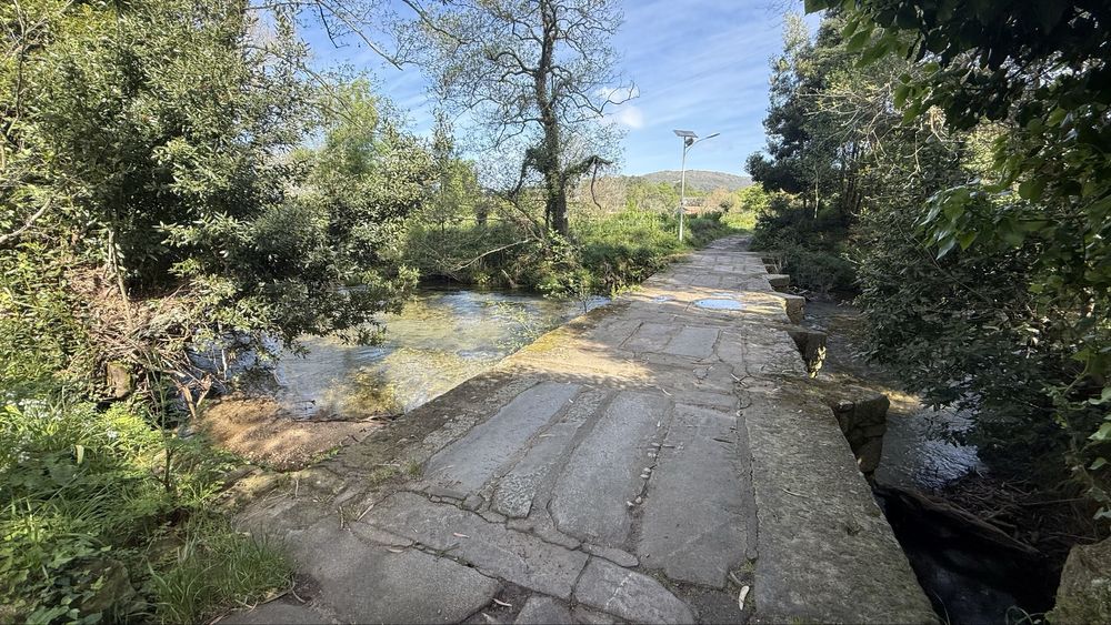 Terreno construção 7650m2 a 5 min da Praia de Ancora