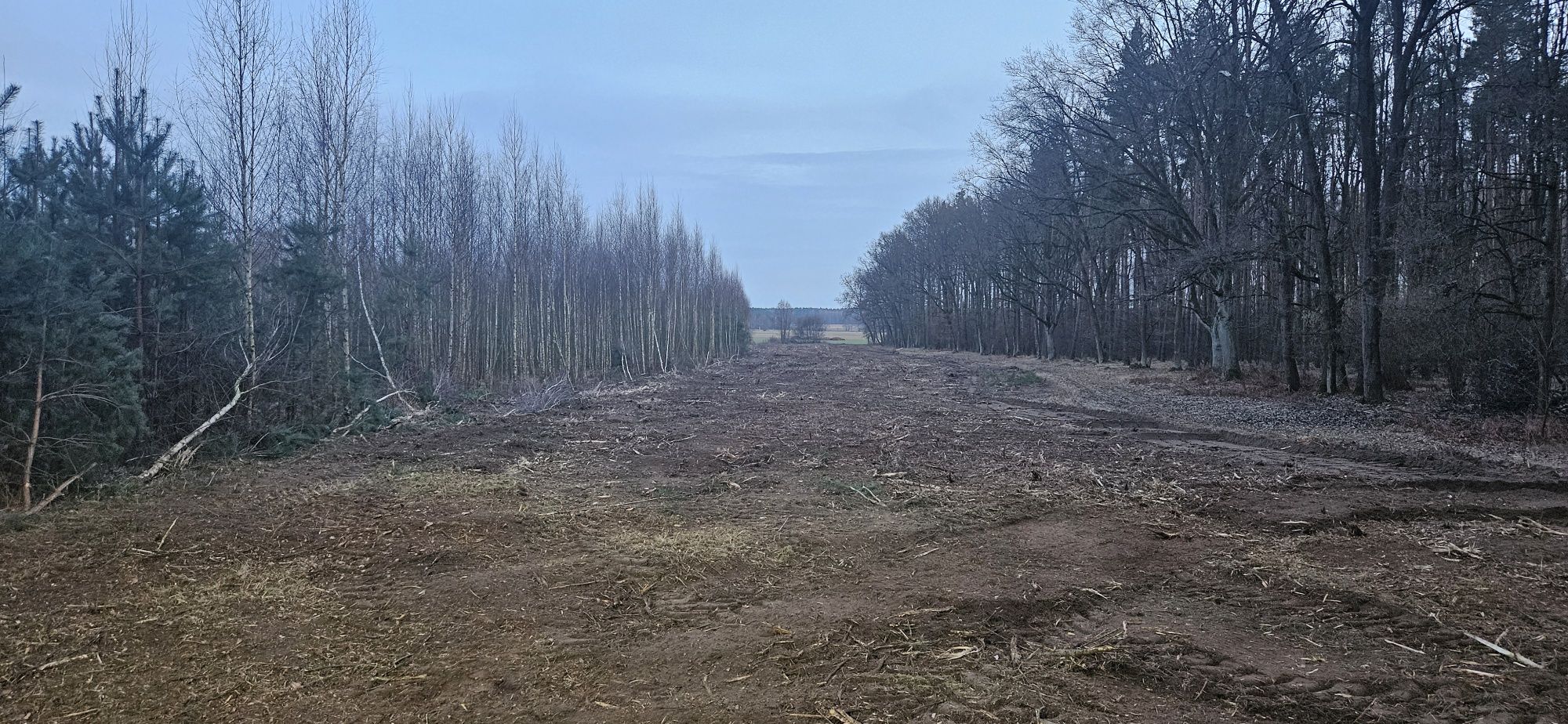 Mulczer leśny wgłębny/REKULTYWATOR/frezowanie/czyszczenie działek
