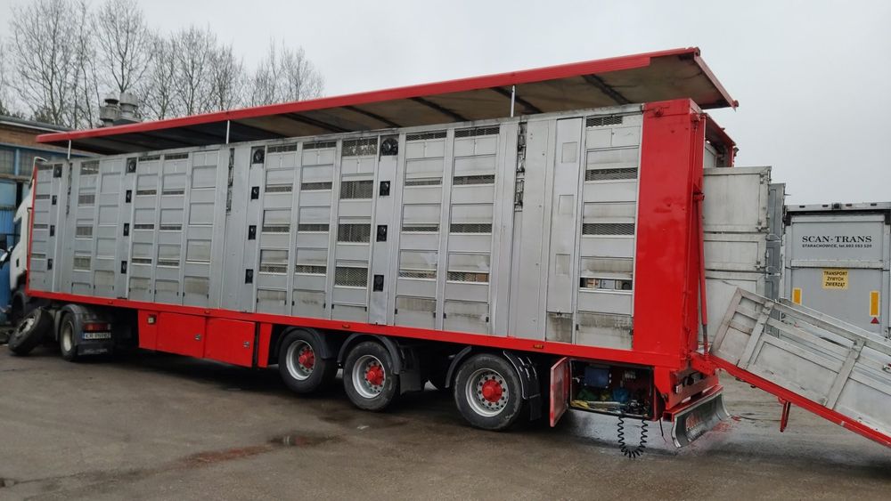 услуги 3х этажного скотовоза#перевозка ВРХ свиней,поросят,овец,индюков