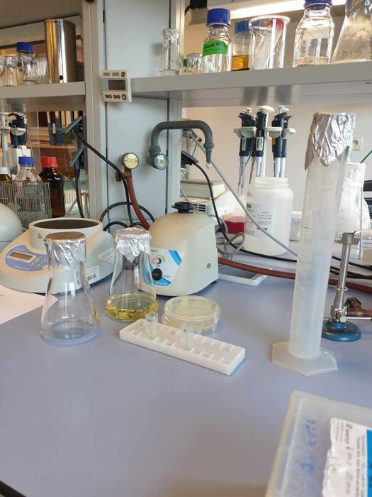 Korepetycje z biologii (online)