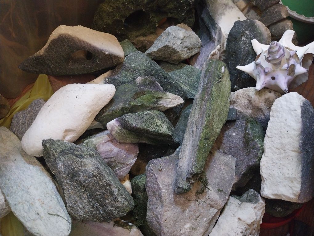 Skały do Akwarium, piaskowce, dragon Stone, lawa, wapienie, inne.