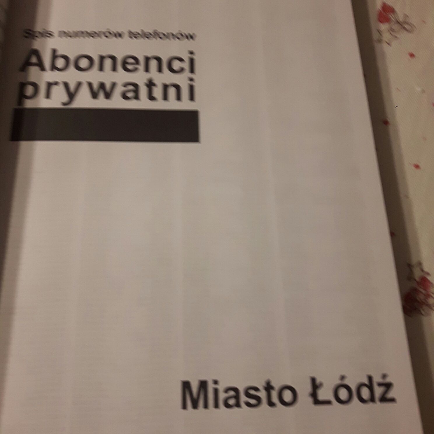 Książka telefoniczna Łódź 2008/9