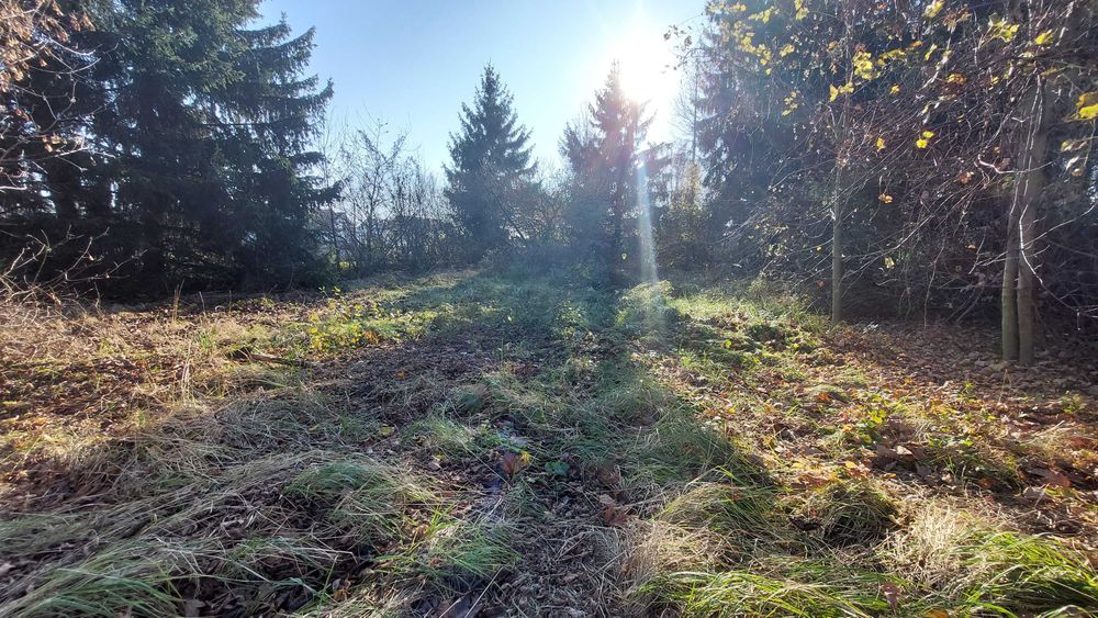Działka budowlana Szczepankowo Poznań