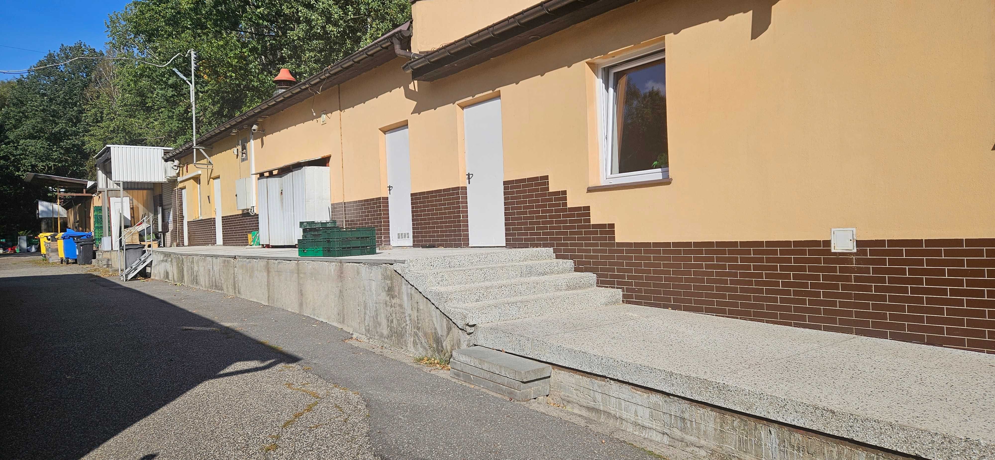 Pomieszczenia magazynowe, produkcyjne, usługowe wynajmę.