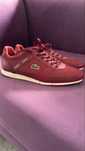 Sprzedam buty Lacoste.
