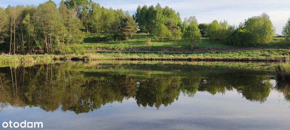 Pojezierze Dobrzyńskie - KUJAWSKIE MAZURY - OKAZJA- działka nad stawem
