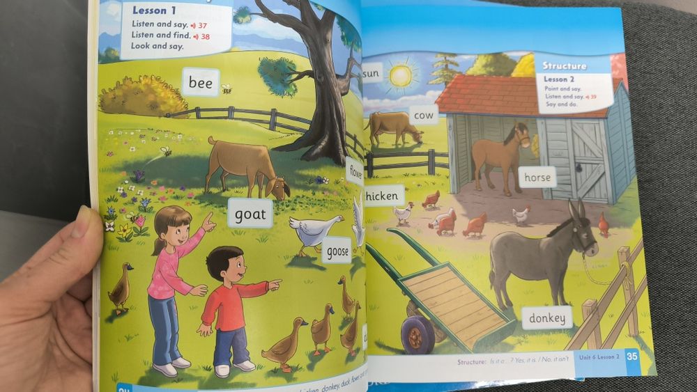 First Friends activity book  class book 1 Family and friends workbook