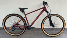 Велосипед Focus Whistler 3.7 29" L"