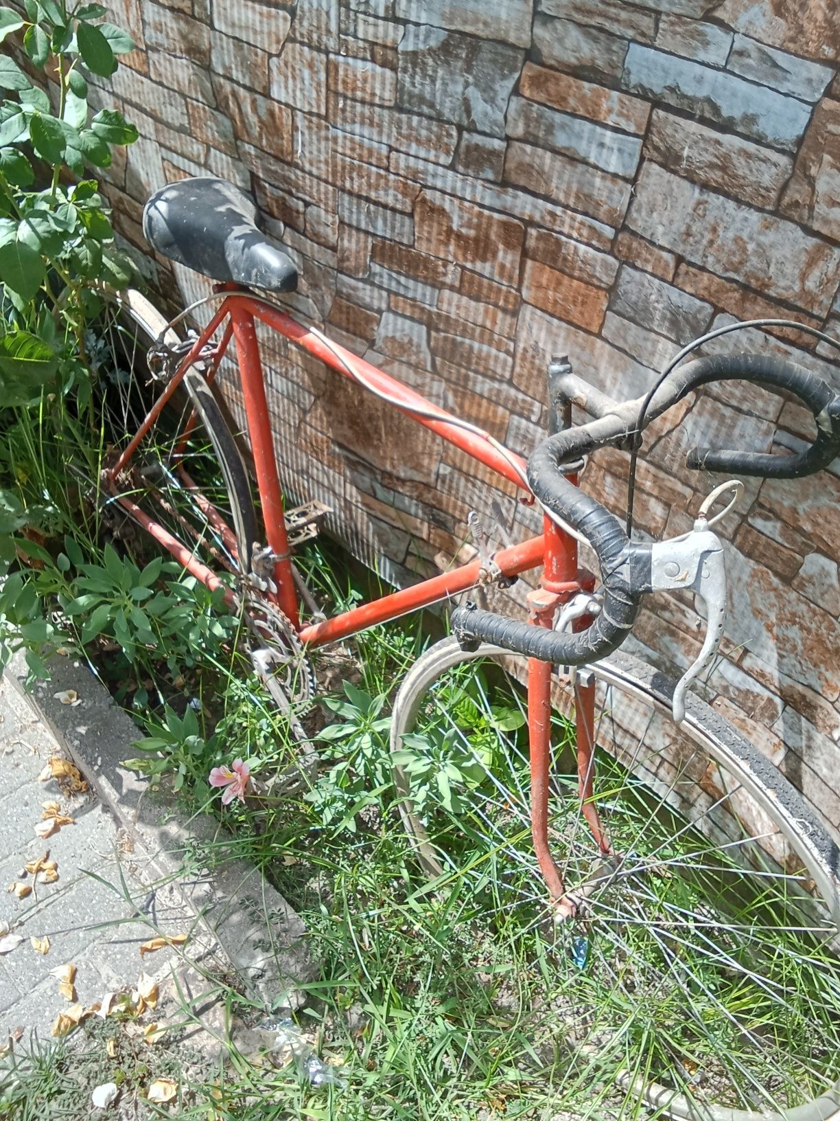 Bicicleta antiga