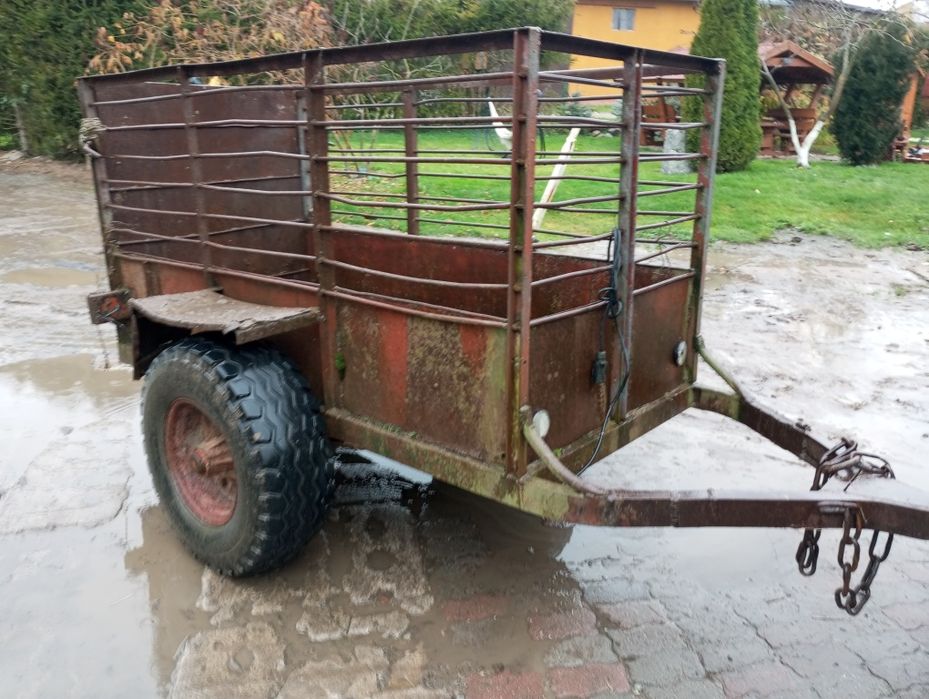 Przyczepka do przewozu zwierząt (rejestrowana)