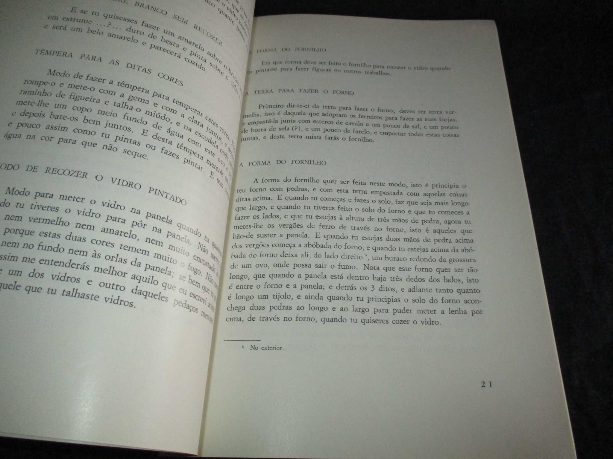 Livro António de Pisa e a sua Memoria sobre vitral Virgolino Jorge