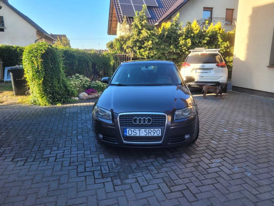 Audi a3 8p 2.0 TDI BMM