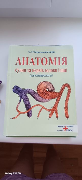 Анатомія судин та нервів голови та шиї НМУ