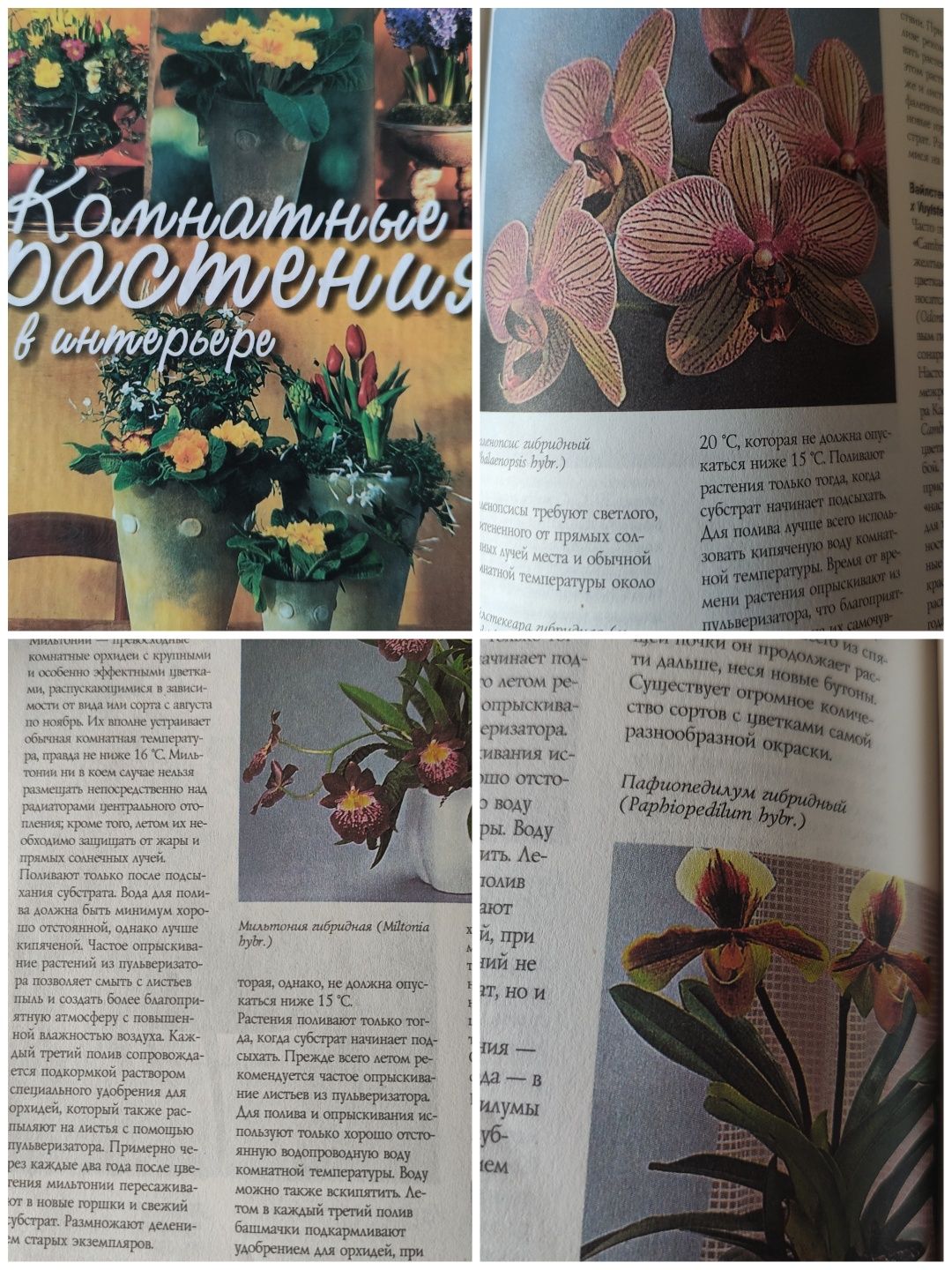 Литература справочник орхидеи и другие комнатные растения