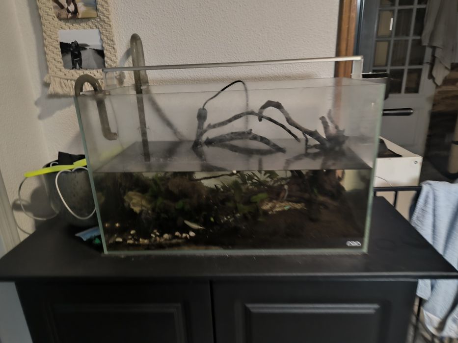 Aquario 60l ADA compelto