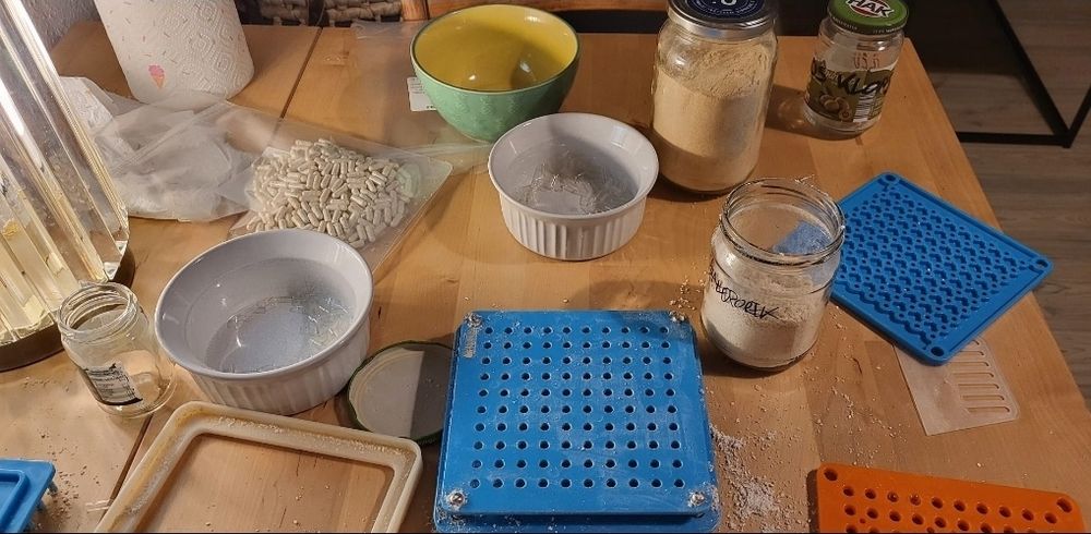 Kapsułki grzybowe-kuracja grzybowa