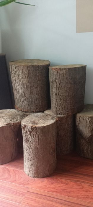 Pieńki drewniane zestaw