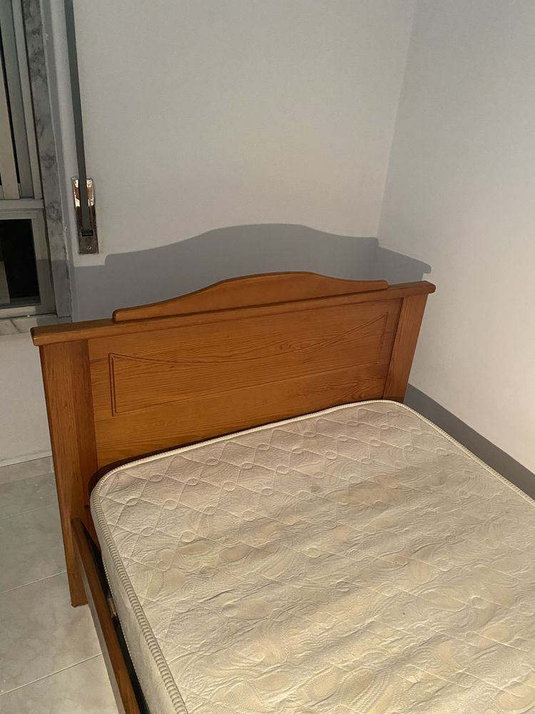 Estrutura de cama + estrado + colchão
