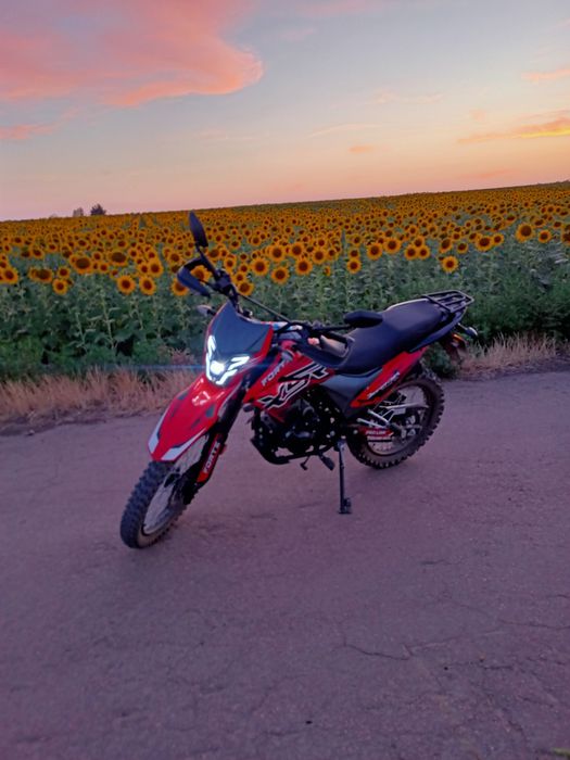 Forte 250 crosss Pro