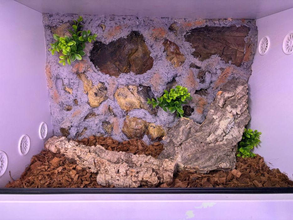 Terrarium dla gekona na każdy wymiar, 60x40x40H okazja wysyłka