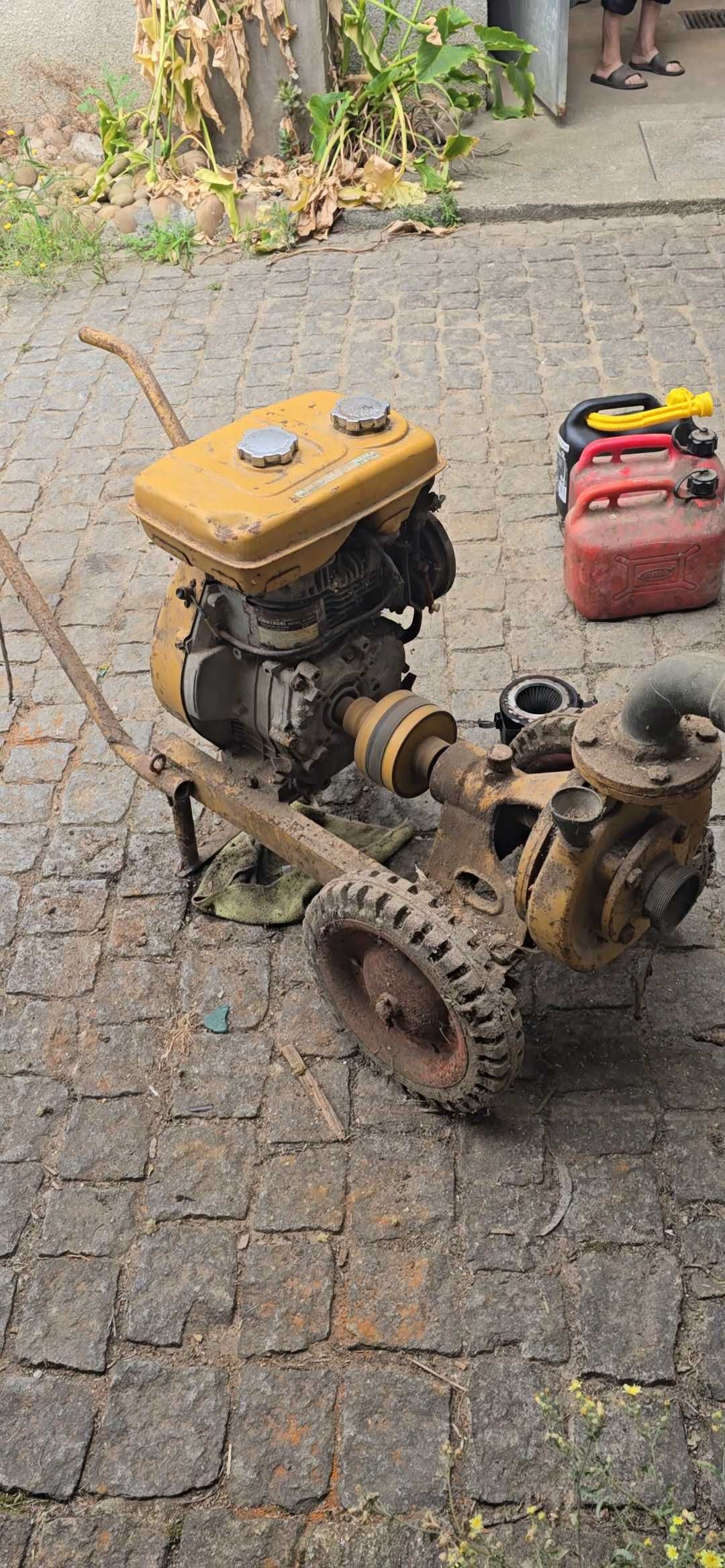 Motor para Rega Robin