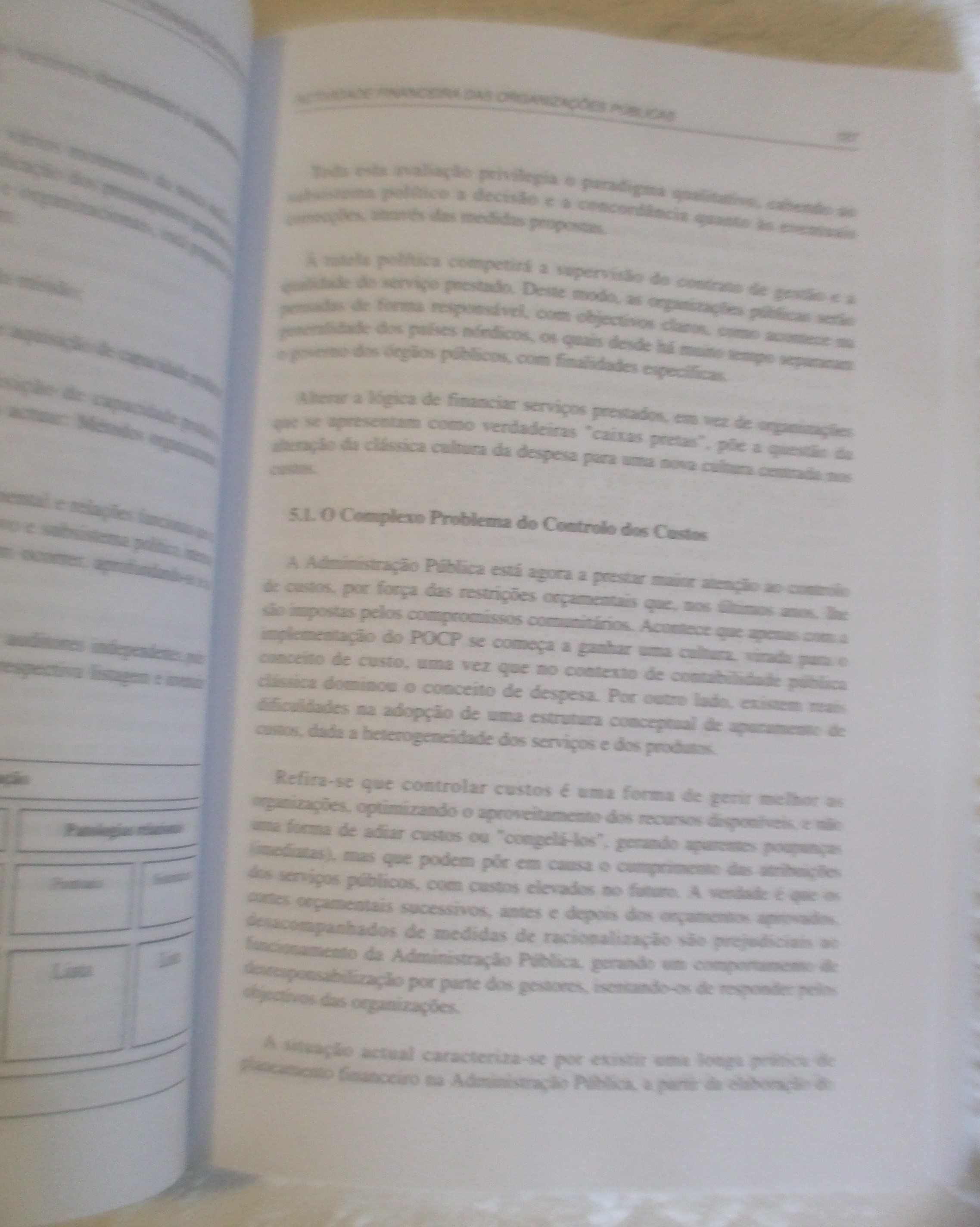 Gestão das organizações públicas e controlo do imobilizado