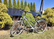 Rower trekingowy damski  Buffalo BTR 700