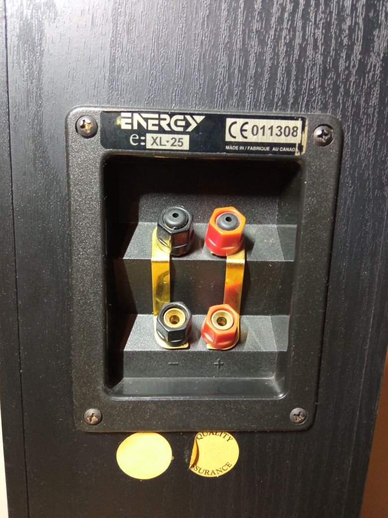 Kolumny podłogowe Energy XL25