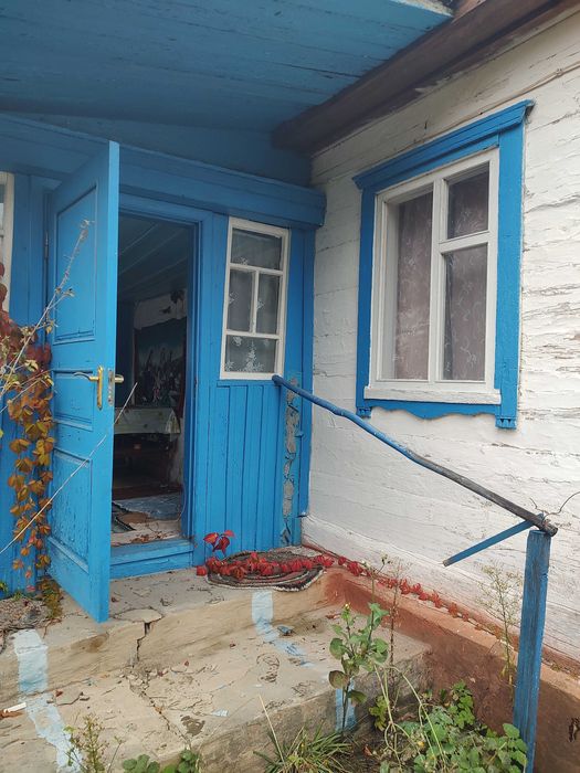 Будинок в селі Волошине, Коростенського району