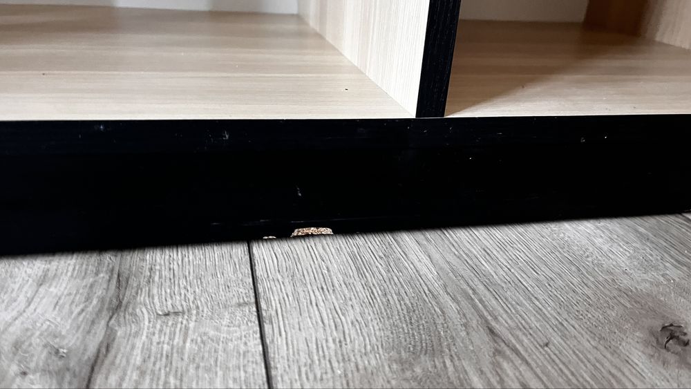 Witryna komoda dąb sonoma