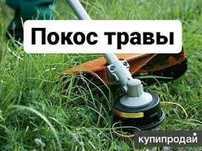 Покос трави і уборка