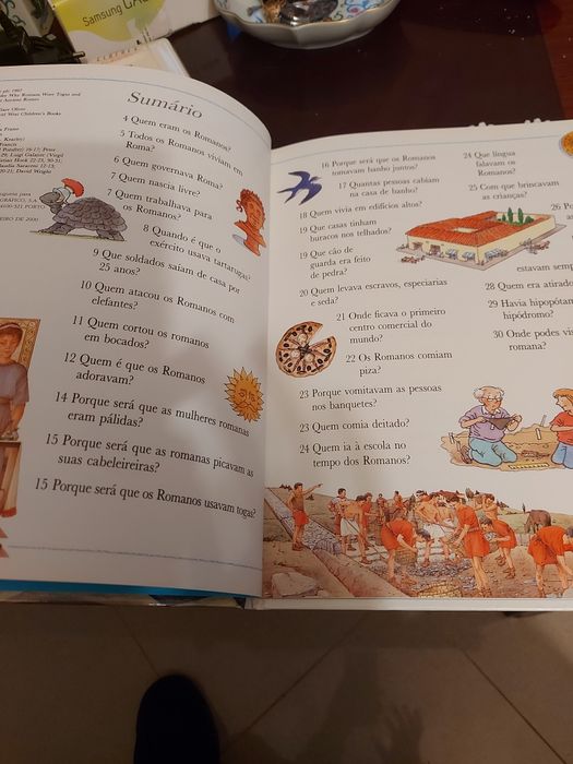 Livro Porque será que os Romanos usavam Togas.