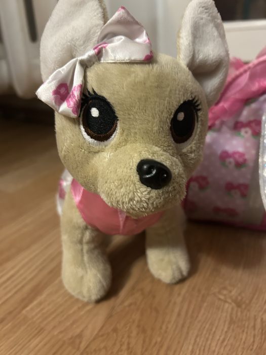 Собачка chi chi liove