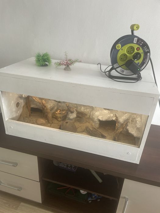 Terarium np dla lamparta 80-40-40
