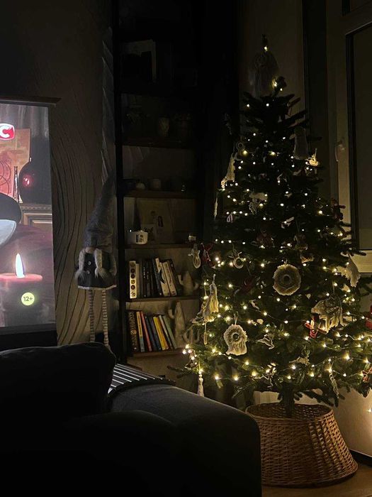 Ялика штучна - 2 м.