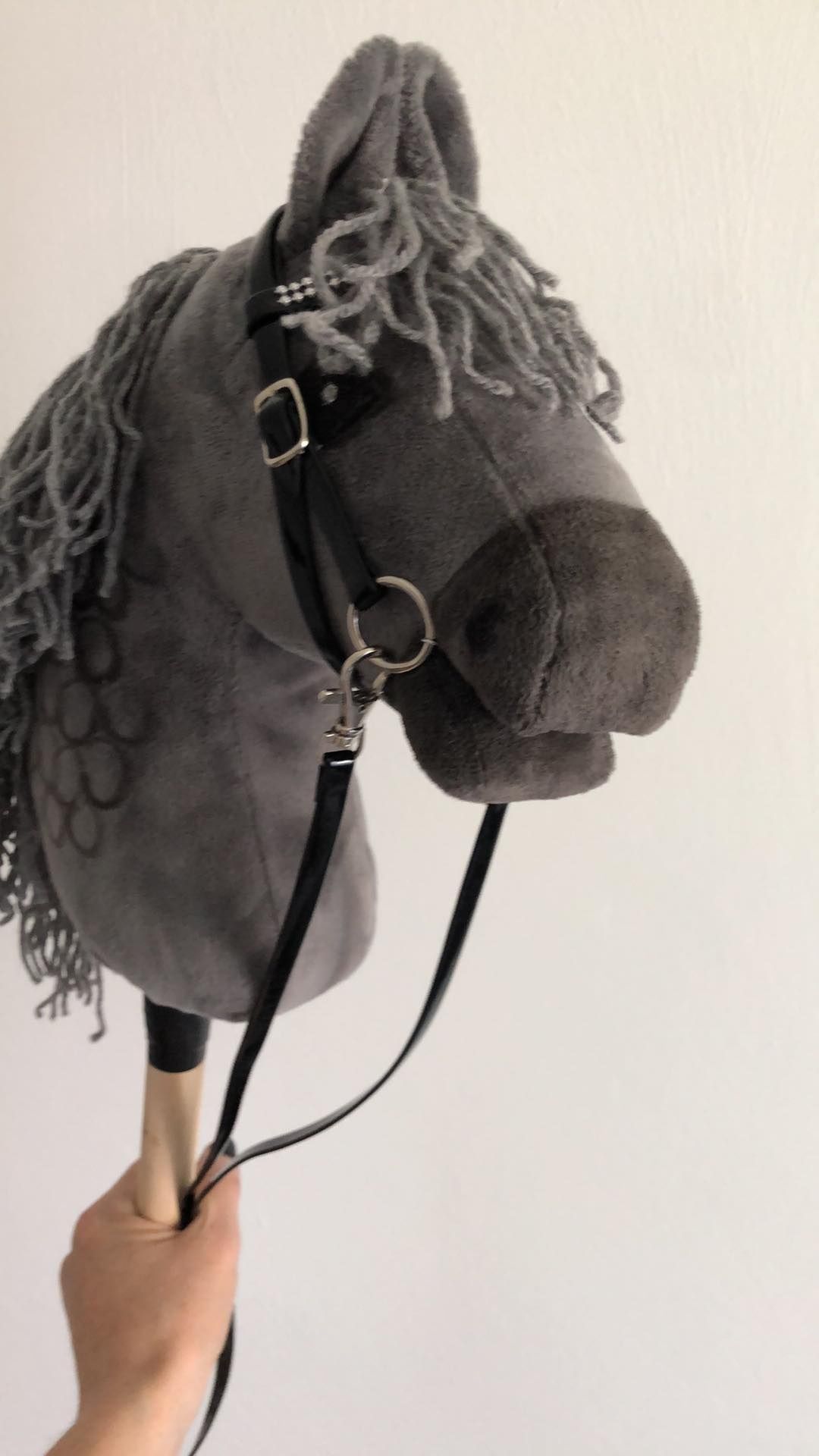 Hobby Horse Sport