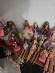 Barbies.    várias