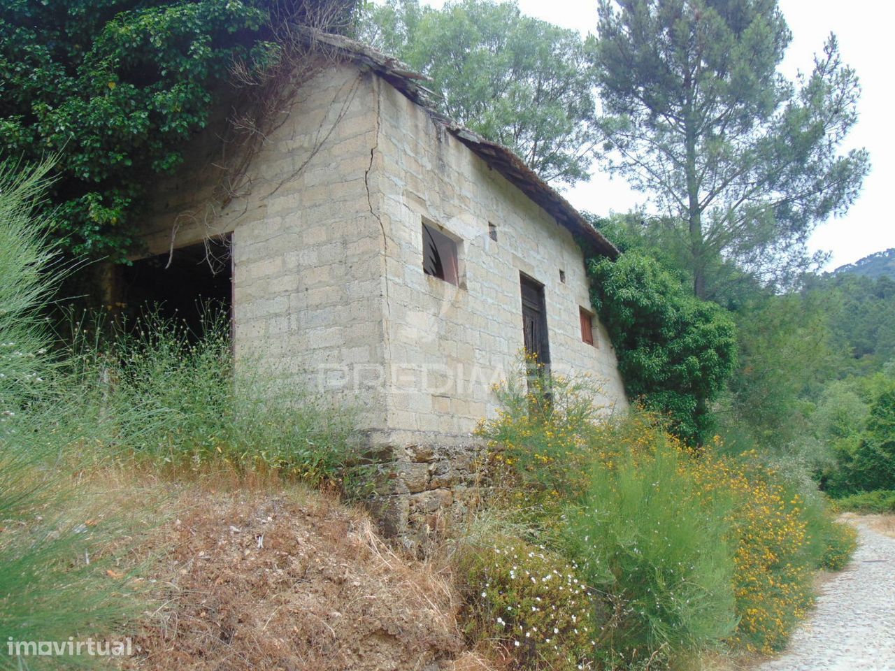 Quinta c/ vinha em produção em Santa Marta de Penaguião