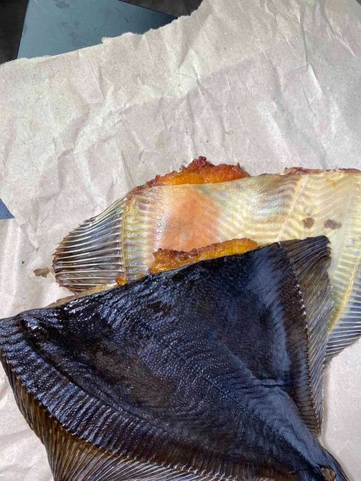 ВЕРХОВОДКА З ІКРОЮ плотва синець окунь