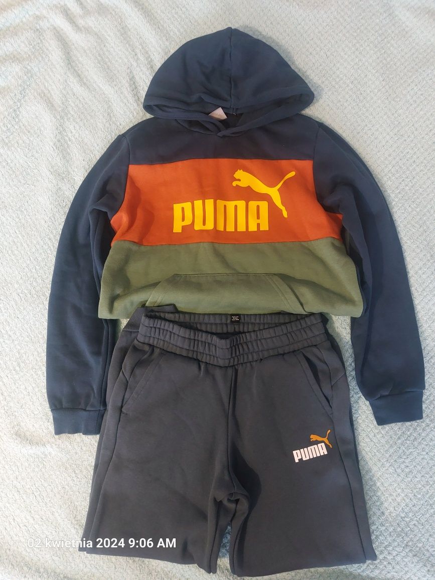 Zestaw puma rozm  152