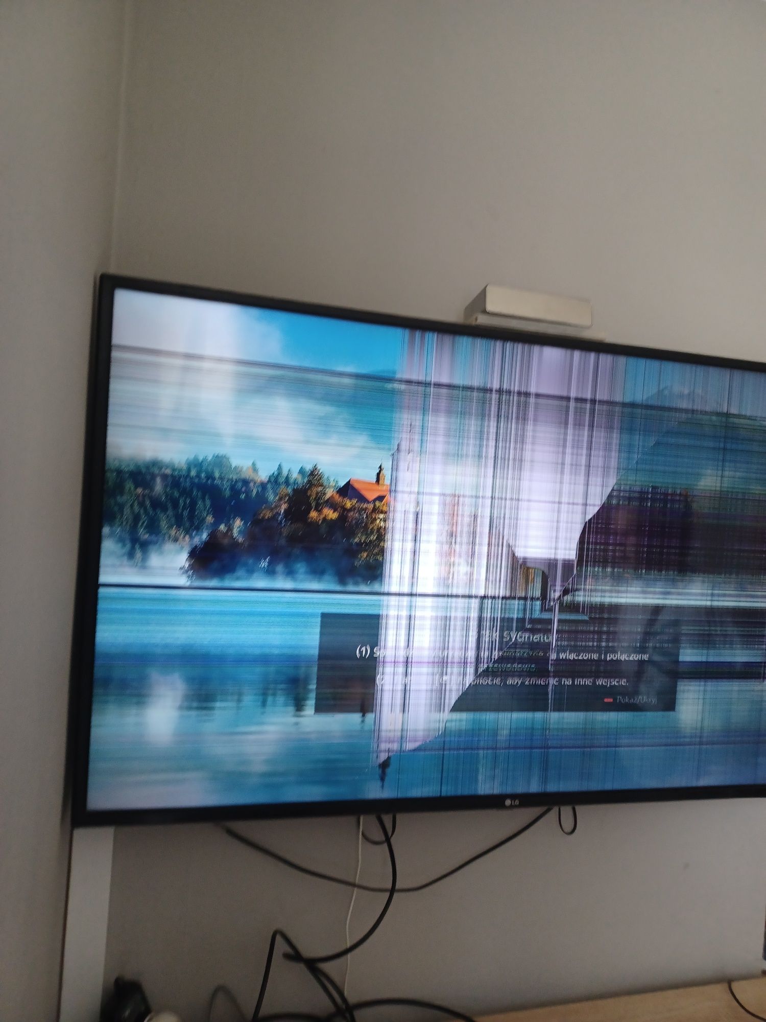 Uszkodzony telewizor LG 49 cali Smart
