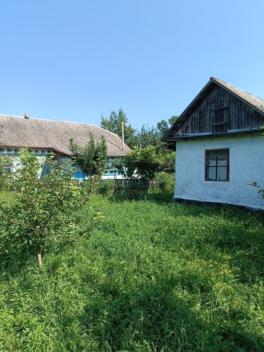 Продаж будинку у селі