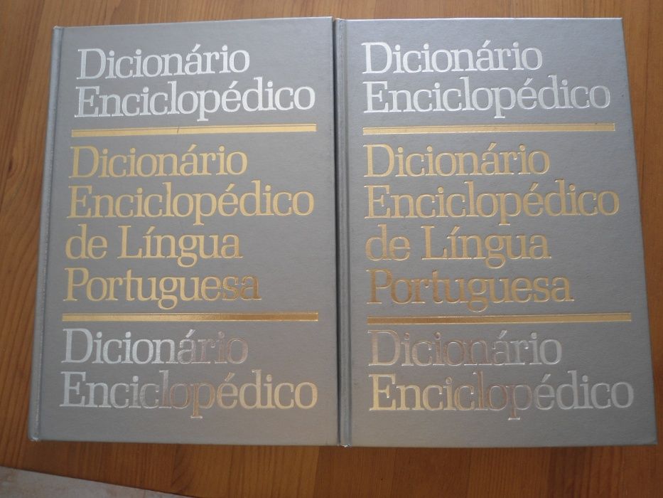 Dicionário Enciclopédico de Língua Portuguesa (envio grátis)