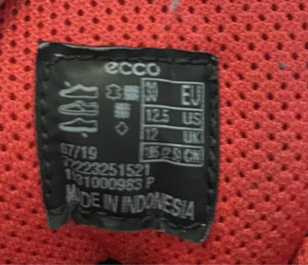 Шкіряні дитячі чоботи Ecco , GoreTex