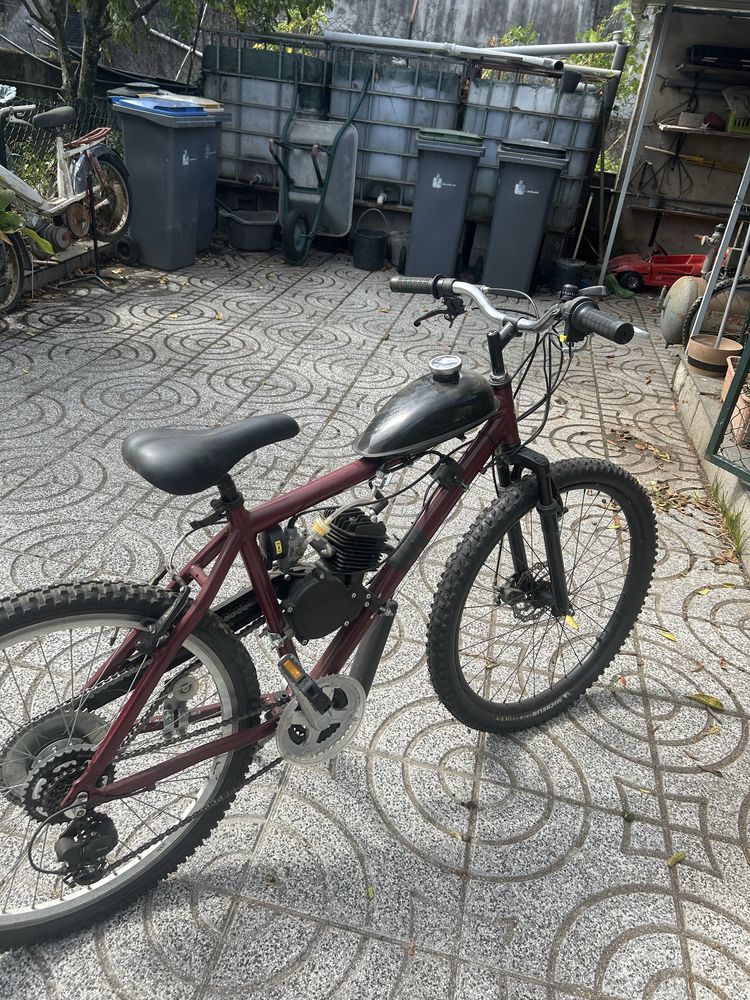 Bicicleta mororizada